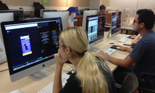 الصورة المصغرة للدورة