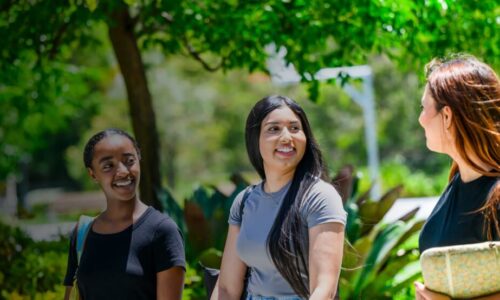 الصورة المصغرة للدورة