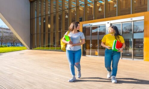 الصورة المصغرة للدورة