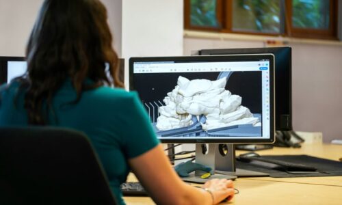 الصورة المصغرة للدورة